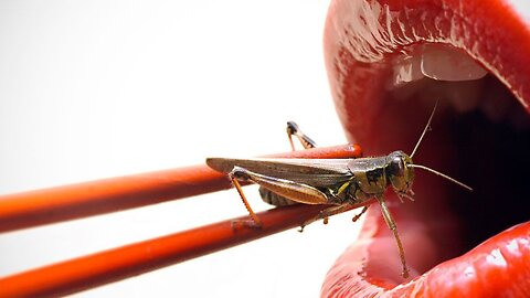 THEY ARE ALREADY PUTTING CRICKETS IN OUR FOOD! and other news