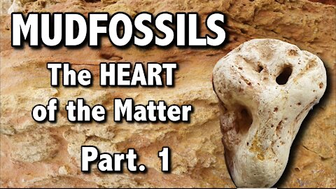 MUDFOSSILS - The HEART of the Matter - Part 1