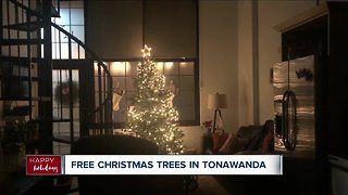 Free Christmas tree giveaway for those in need