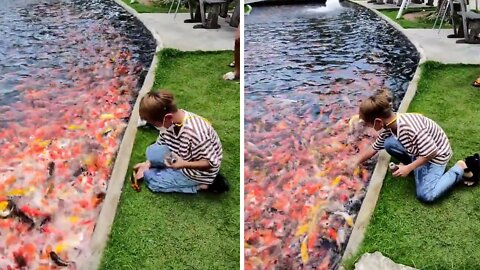 Kid saves koi fish after they jump out of the water