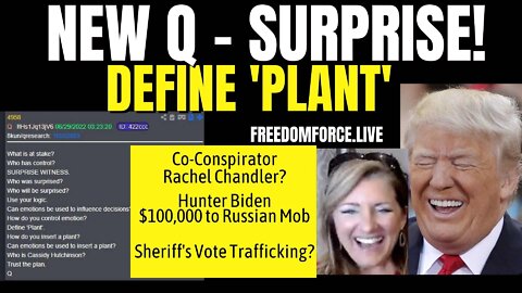 New Q - Surprise! Define Plant, Chandler, Sheriffs, Russian Mob 6-29-22