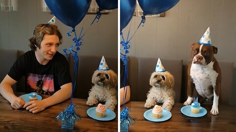 Son moves home. learns mom has b-day parties for the dogs