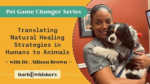 Translating Natural Healing Strategies in Humans to Animals With Dr. Allison Brown