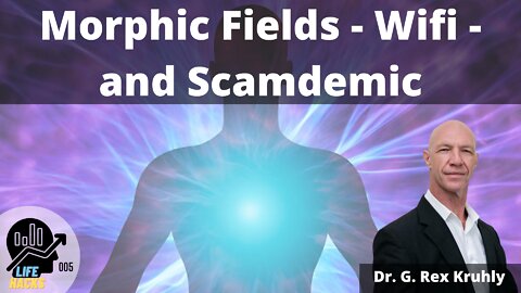 Depth Healing Life Hacks 005 - Morphic Fields - Wifi - and The Scamdemic.