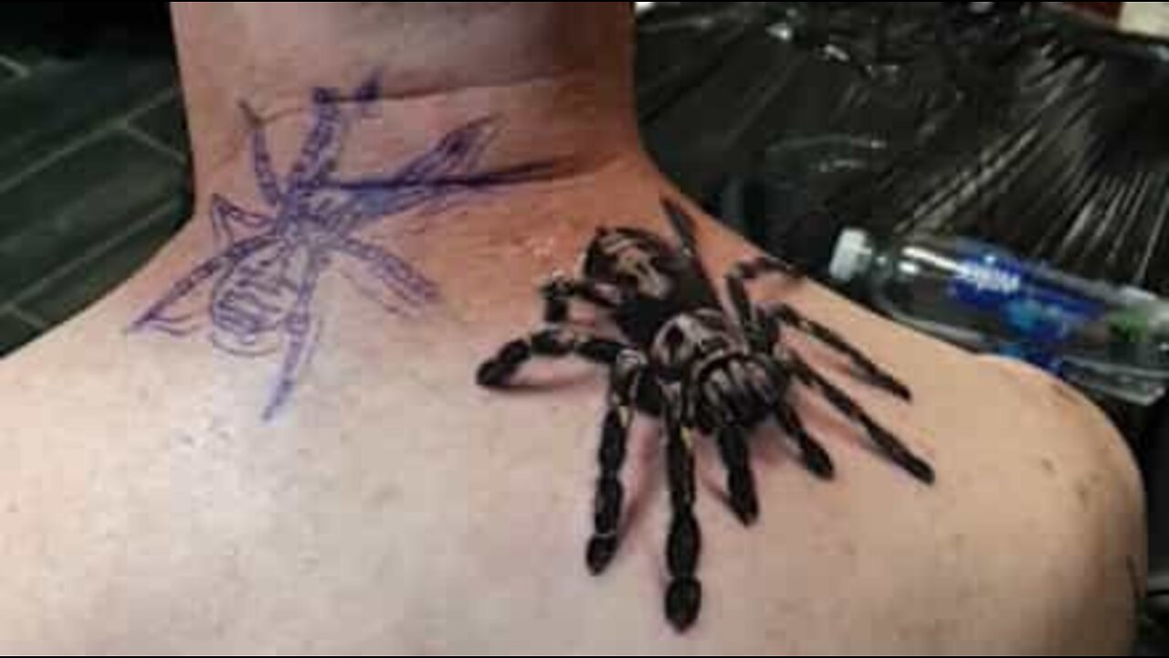Hournoon - 🕸🖤🦇🖤🕸 mexican red knee tarantula for bela ♡ ty so much for  coming back for another friend!! I love spode ♡🕷 | Facebook