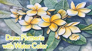 How to Draw Plumeria with Water Color