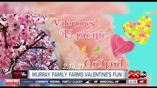 Murray Family Farms Valentines U-Picnic