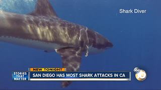San Diego hot spot for shark attacks