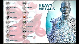 Heavy Metals Detox