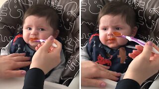 Displeased baby trying purée carrots for the first time