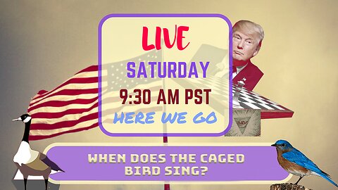 Saturday *LIVE* When Does The Caged Bird Sing