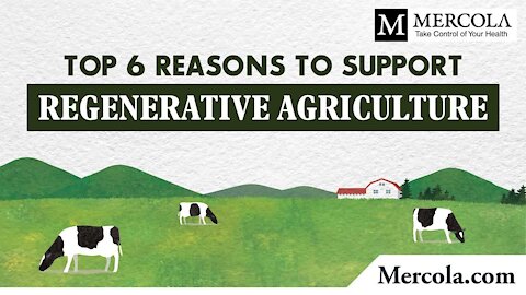 Top 6 Reasons to Support Regenerative Agriculture