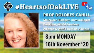 Livestream with Prof Dolores Cahill 16.11.20
