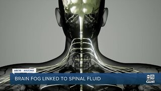 Brain fog linked to spinal fluid