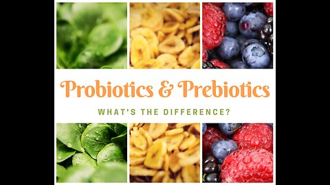 Prebiotics and Probiotics: How Do They Work Together?