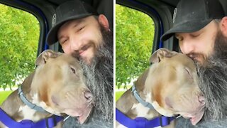 Adorable pup shows love to owner with cuddles