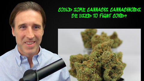 Could Some Cannabis Cannabinoids be used to Fight Covid?