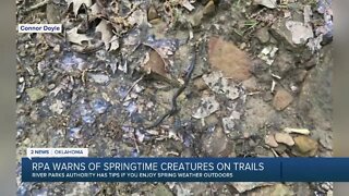 Snakes slithering on trails have hikers on alert