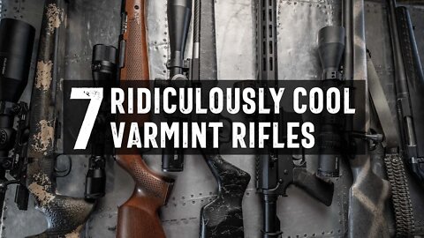 7 Excellent Varmint Rifles