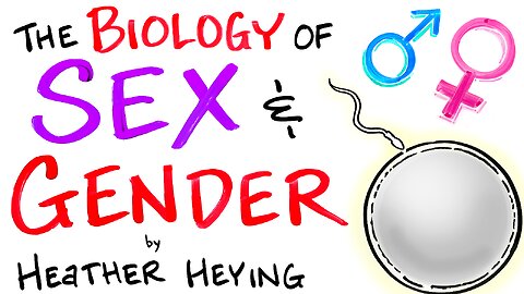 A Biologist Explains Sex & Gender - Heather Heying