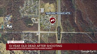 13-year-old dead after shooting