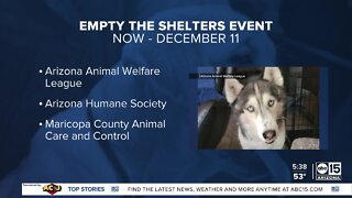 Waived pet adoptions in the Valley to kick off the month of December