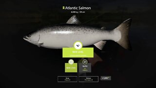 Russian Fishing 4 Volkhov River Atlantic Salmon 6 . 048 Kg