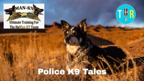 Police K9 Tales with an Expert Dog Trainer - The Interview Room with Chris McDonough