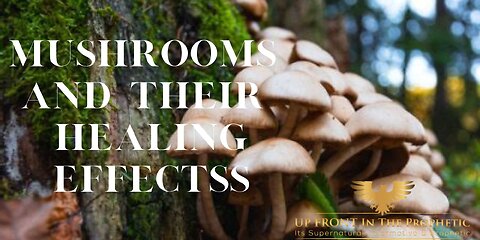 The Healing Power of Mushrooms..Not all mushrooms are created equal.
