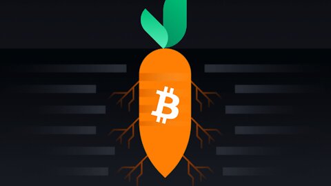 Taproot for Bitcoin will literally change your life