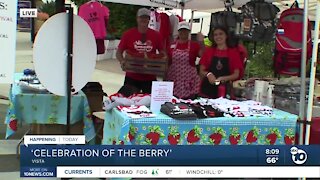 Vista kicks off the Strawberry festival