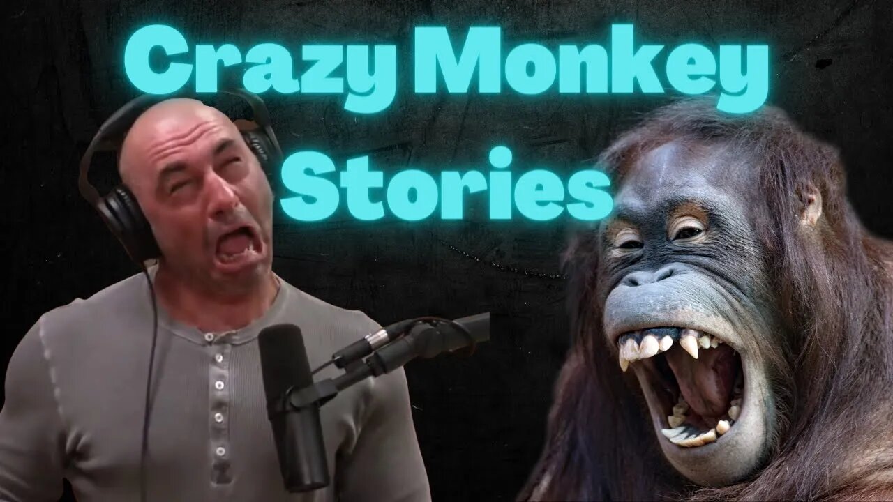 Crazy Stories about Monkey and chimps by Joe Rogan - Insane Monkey