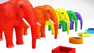 Learn Color Animals Elephant & Learn Shapes W Cartoon Nursery Rhymes Song for Kids