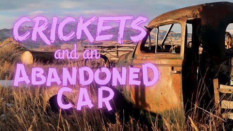 Crickets and an Abandoned Car | 15 Minutes of Twilight | Ambient Sound | What Else Is There?