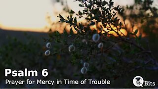 PSALM 006 // A PRAYER FOR MERCY IN TIMES OF TROUBLE