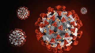 Coronavirus: 2 confirmed deaths in US