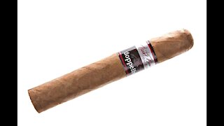 Nestor Miranda Doppelbok Robusto Cigar Review