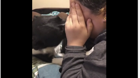 Sweet Dog Tries To Stop Owner From Crying