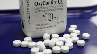 OxyContin Maker To Plead Guilty To Federal Criminal Charges