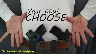 Choose Your CCW: Sig 365 series versus Springfield Hellcat