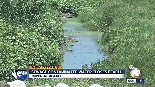 Sewage flowing from Mexico closes Imperial Beach