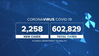 Coronavirus Cases in Florida as of August 24th