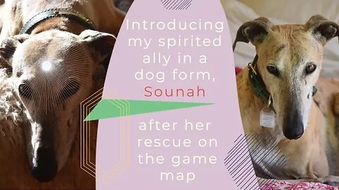 Introducing my spirited ally in a dog form, Sounah after her rescue on the game map