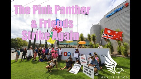 The Pink Panther & Friends Strike Again