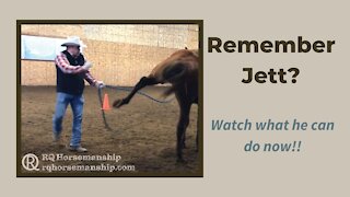 Remember Jett? Watch What He Can Do Now!!
