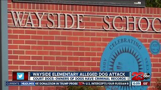 Wayside Elementary dog attack claim update