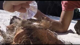 Explorer teaches how to start a fire with a plastic bag