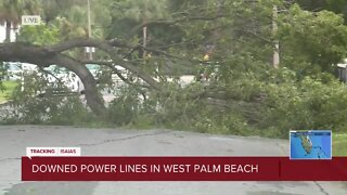 Tree downs power line in West Palm Beach