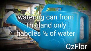 watering can that can only handle ½ of it's full capacity in Thailand