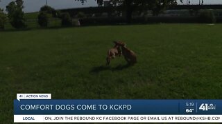 Comfort dogs come to KCKPD